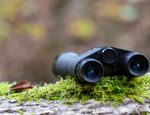 binoculars